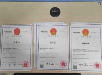 注冊公司 代理記賬公司注冊提供個體戶注冊、內(nèi)資公司注冊服務(wù)